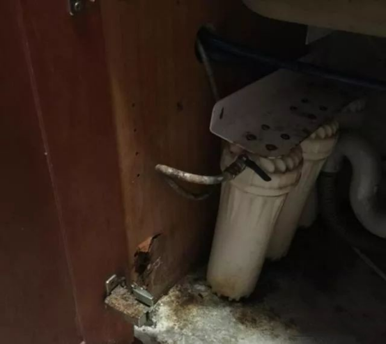 �ɵ��᣺���P䓙���һ��(g��)�����ѽ�(j��ng)���