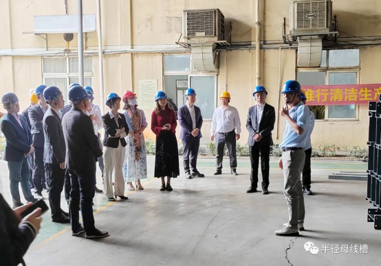 �ƄӮa(ch��n)�I(y��)�������������f(xi��)�����ҵ��L�돽ĸ��������Ԓ�l(f��)չ�{(l��n)�D