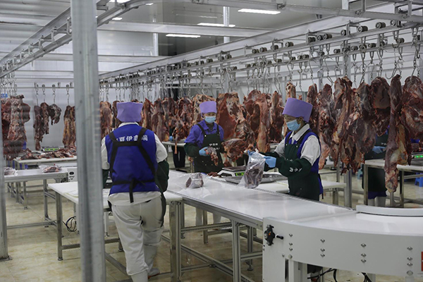 攜手企業(yè)和媒體，打造“六盤山”區(qū)域公用品牌新天地