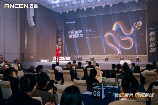 ���߾ۄ�(sh��) �������򡪡��������F(tu��n)2025��(zh��n)���{(l��n)�D�l(f��)��